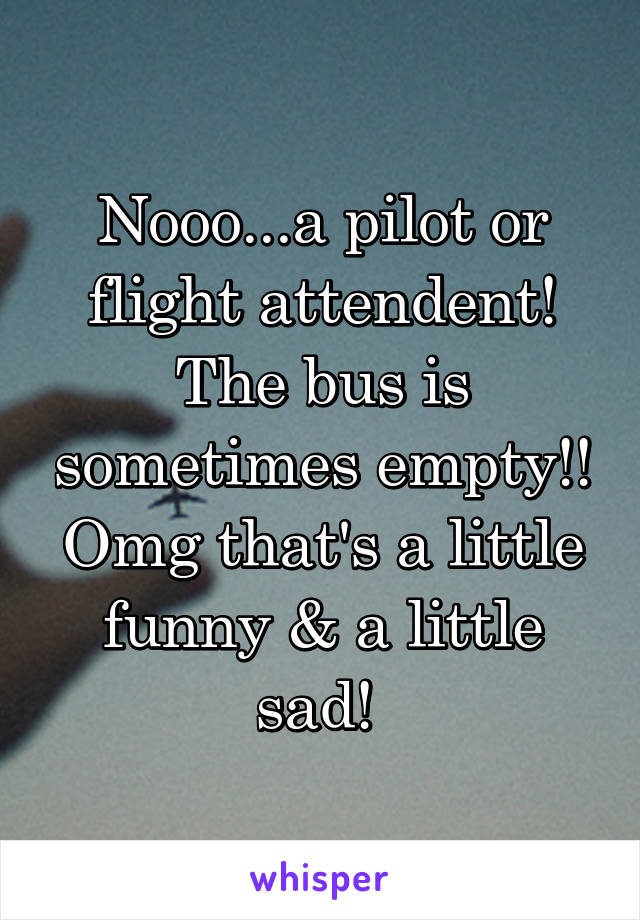 Nooo...a pilot or flight attendent! The bus is sometimes empty!! Omg that's a little funny & a little sad! 