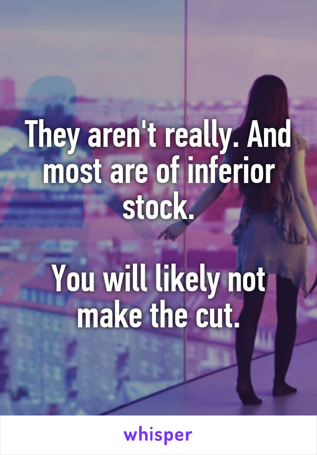 They aren't really. And most are of inferior stock.

You will likely not make the cut.