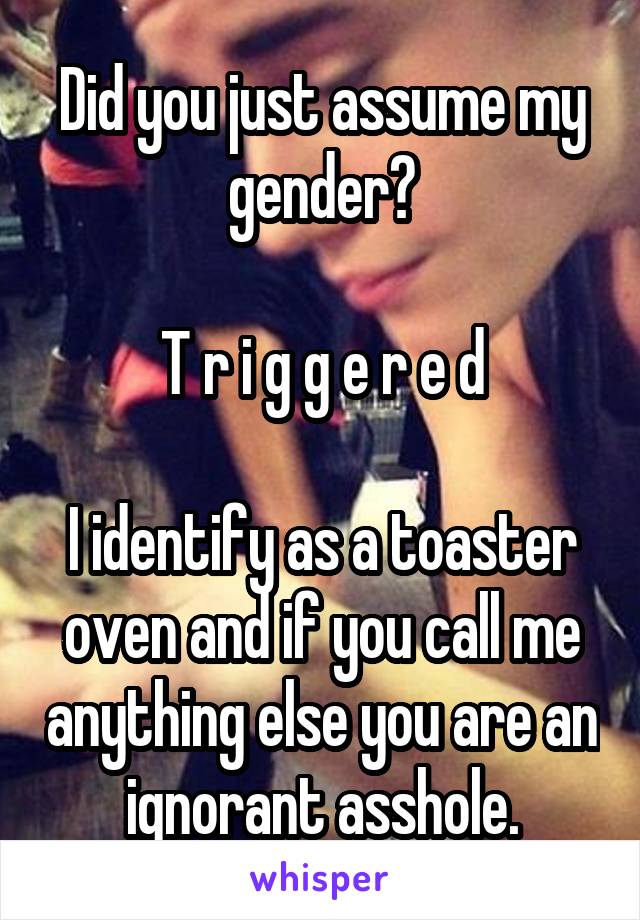 Did you just assume my gender?

T r i g g e r e d

I identify as a toaster oven and if you call me anything else you are an ignorant asshole.