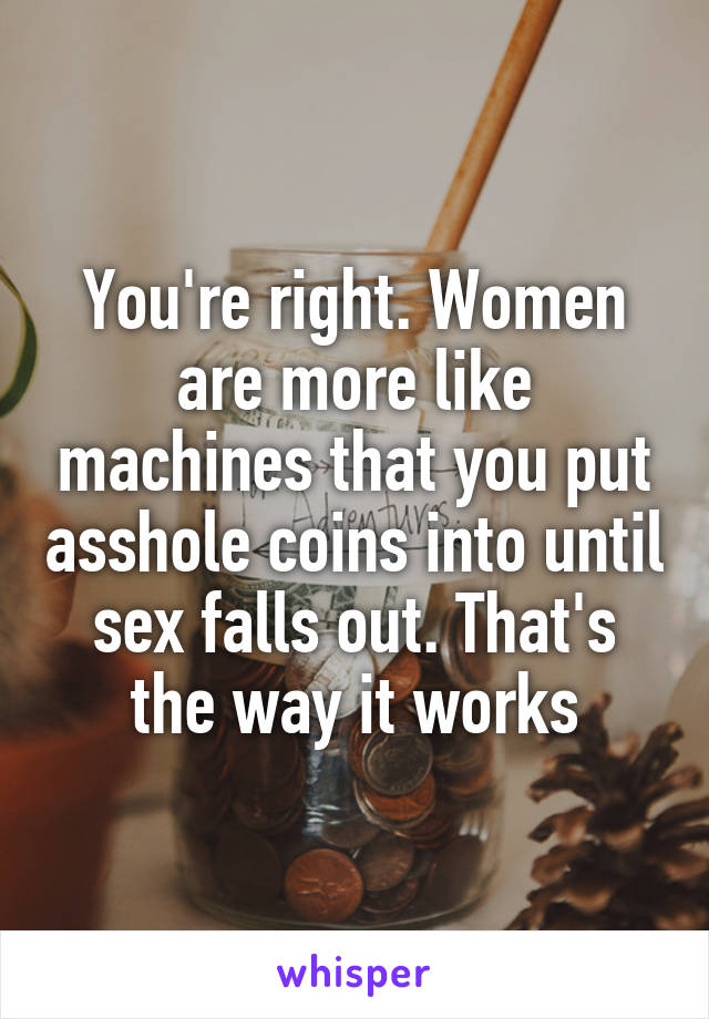 You're right. Women are more like machines that you put asshole coins into until sex falls out. That's the way it works