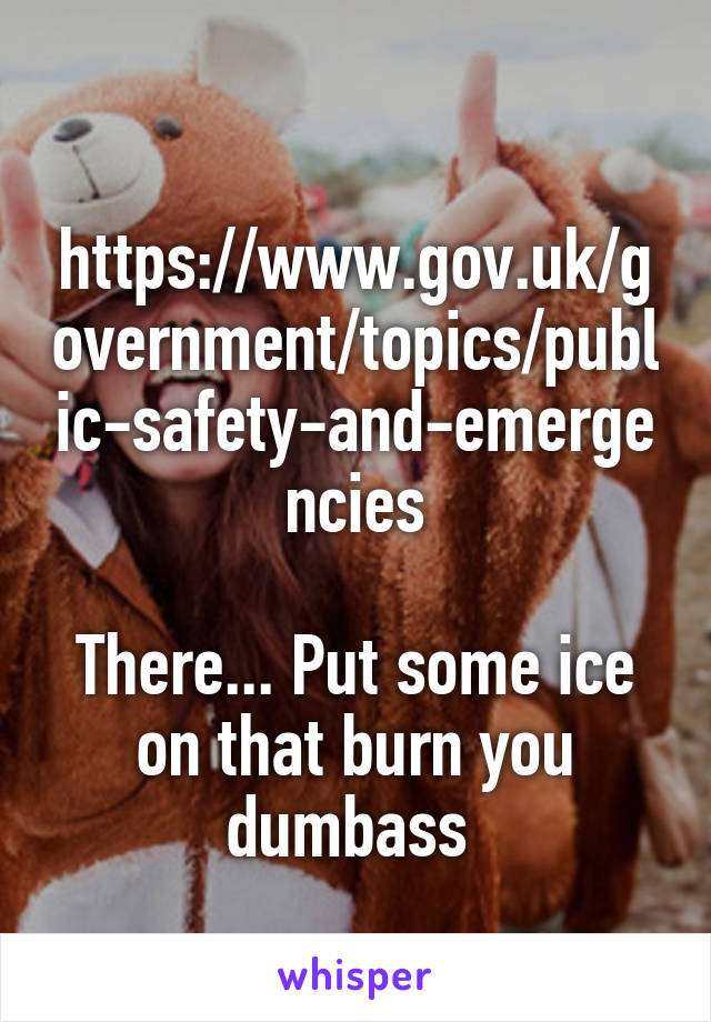  https://www.gov.uk/government/topics/public-safety-and-emergencies

There... Put some ice on that burn you dumbass 