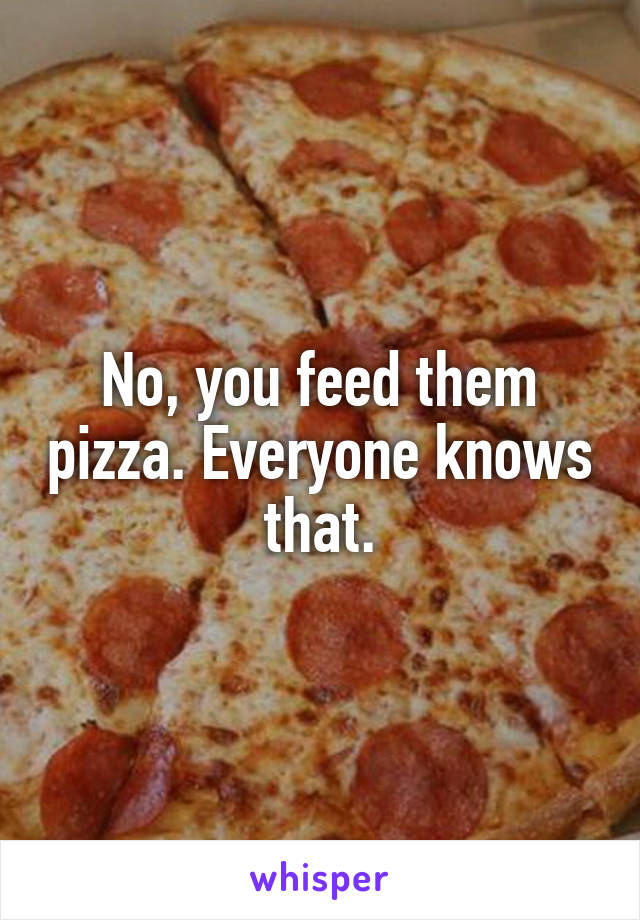 No, you feed them pizza. Everyone knows that.