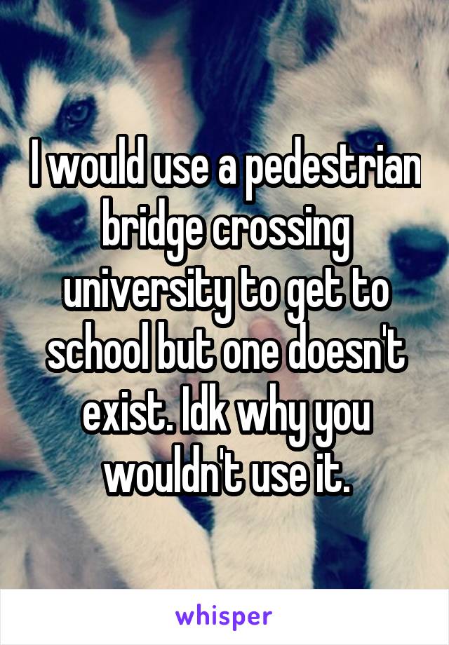 I would use a pedestrian bridge crossing university to get to school but one doesn't exist. Idk why you wouldn't use it.