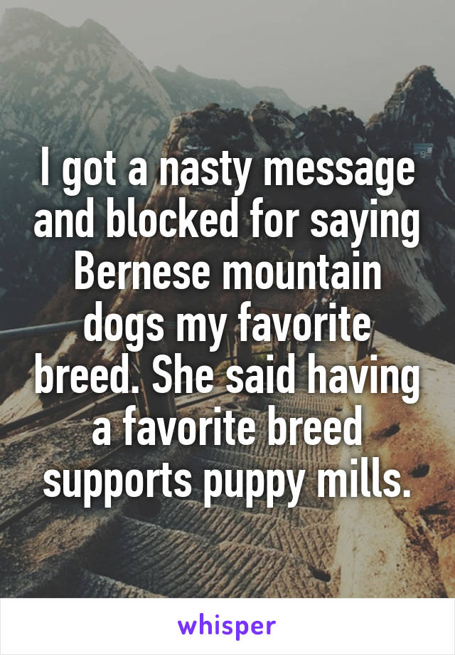 I got a nasty message and blocked for saying Bernese mountain dogs my favorite breed. She said having a favorite breed supports puppy mills.