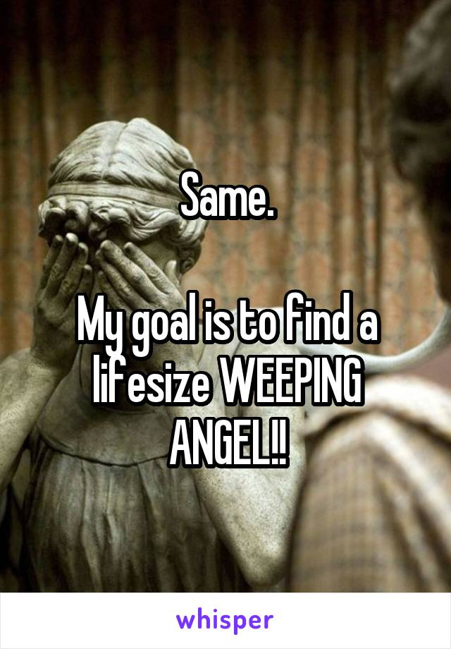 Same.

My goal is to find a lifesize WEEPING ANGEL!!