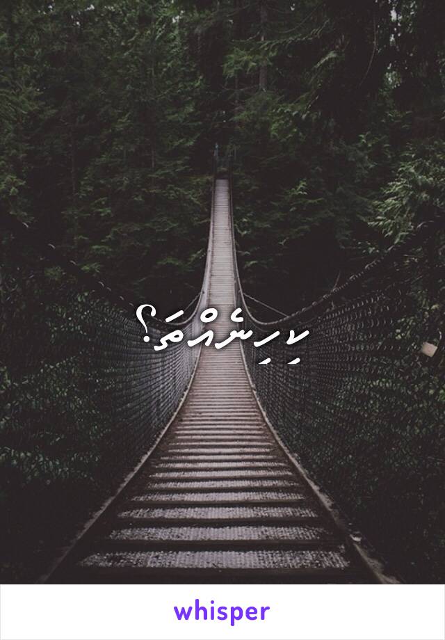 ކިހިނެއްތަ؟