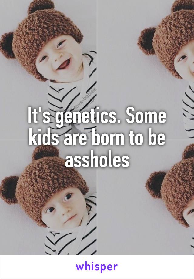 It's genetics. Some kids are born to be assholes