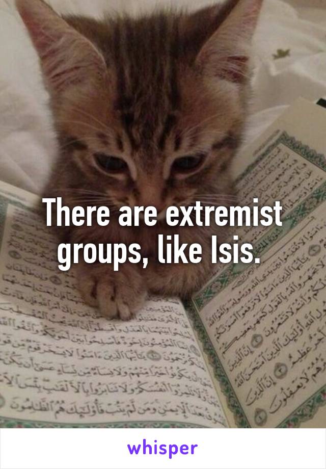 There are extremist groups, like Isis. 