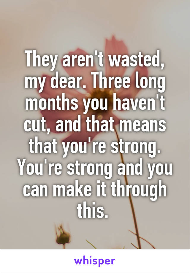 They aren't wasted, my dear. Three long months you haven't cut, and that means that you're strong. You're strong and you can make it through this. 