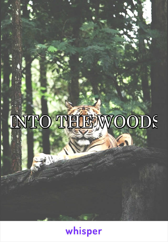 INTO THE WOODS