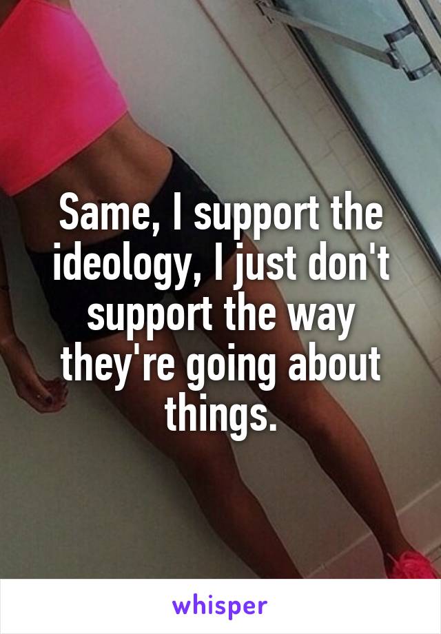 Same, I support the ideology, I just don't support the way they're going about things.