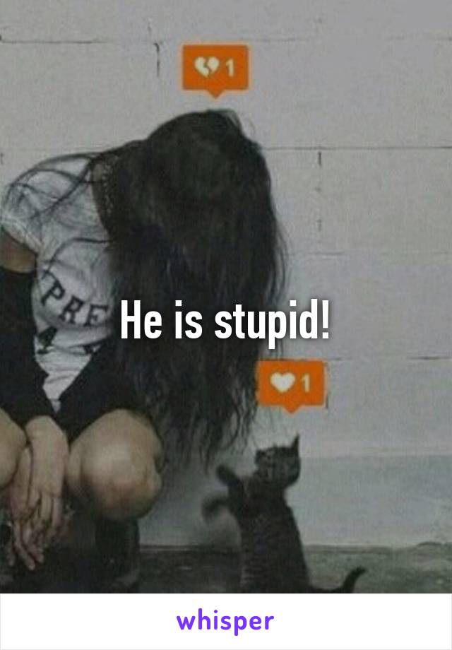 He is stupid!