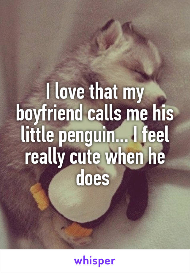 I love that my boyfriend calls me his little penguin... I feel really cute when he does 