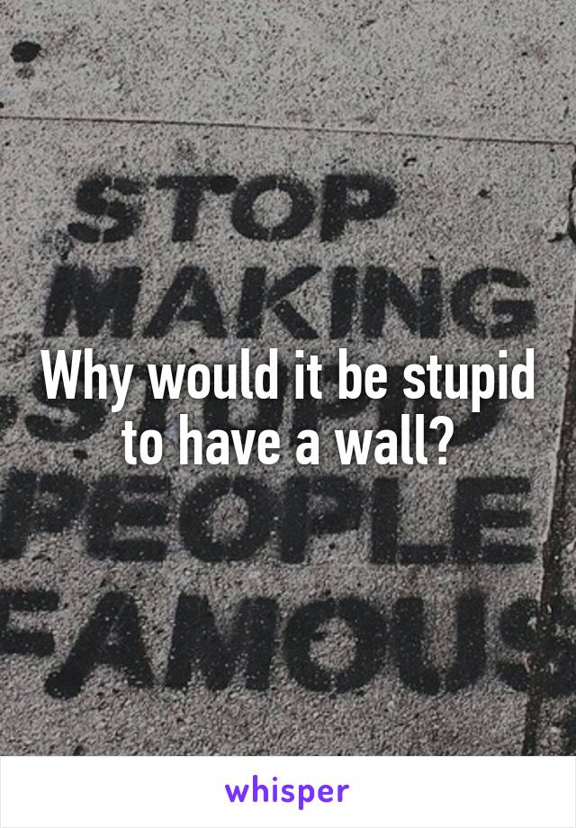 Why would it be stupid to have a wall?