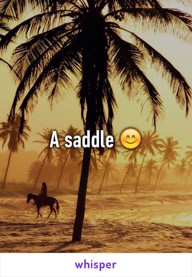 A saddle 😊