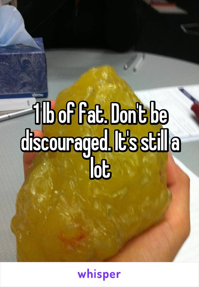 1 lb of fat. Don't be discouraged. It's still a lot