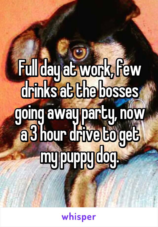 Full day at work, few drinks at the bosses going away party, now a 3 hour drive to get my puppy dog.