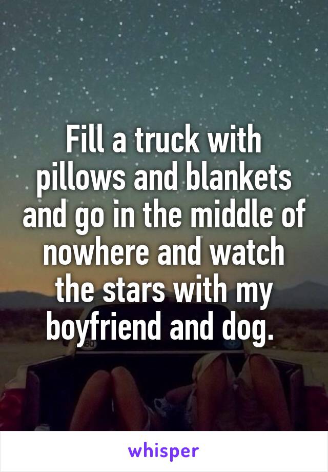 Fill a truck with pillows and blankets and go in the middle of nowhere and watch the stars with my boyfriend and dog. 