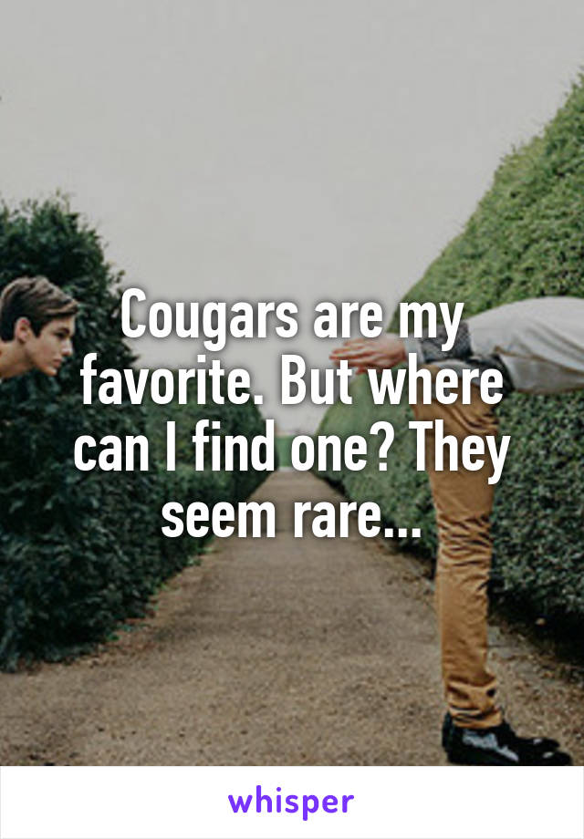 Cougars are my favorite. But where can I find one? They seem rare...