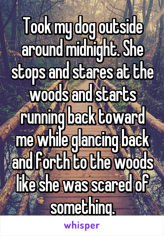 Took my dog outside around midnight. She stops and stares at the woods and starts running back toward me while glancing back and forth to the woods like she was scared of something.