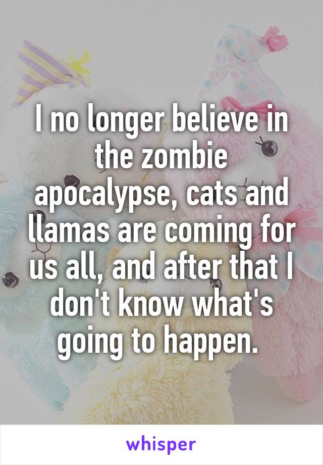 I no longer believe in the zombie apocalypse, cats and llamas are coming for us all, and after that I don't know what's going to happen. 