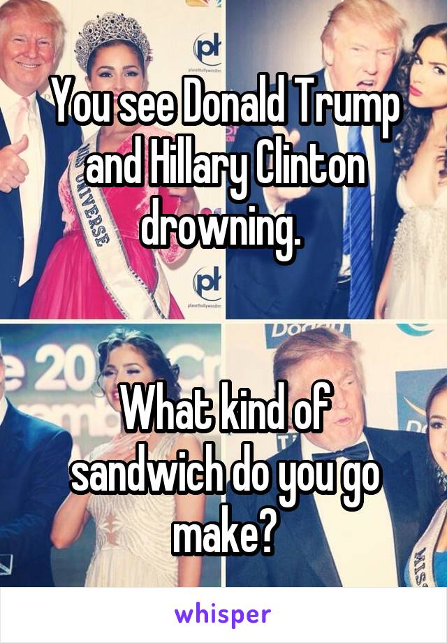 You see Donald Trump and Hillary Clinton drowning. 


What kind of sandwich do you go make?