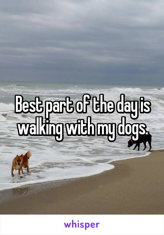 Best part of the day is walking with my dogs.