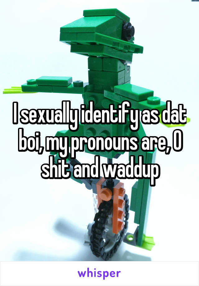 I sexually identify as dat boi, my pronouns are, O shit and waddup