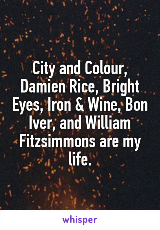 City and Colour, Damien Rice, Bright Eyes, Iron & Wine, Bon Iver, and William Fitzsimmons are my life.