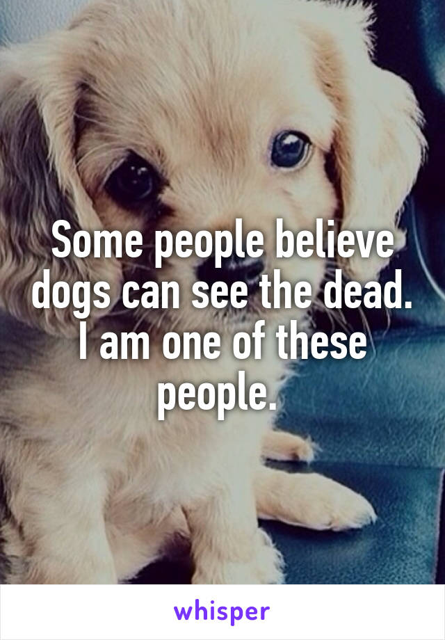 Some people believe dogs can see the dead. I am one of these people. 