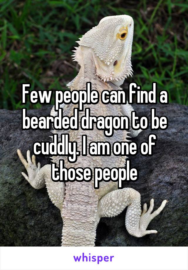 Few people can find a bearded dragon to be cuddly. I am one of those people