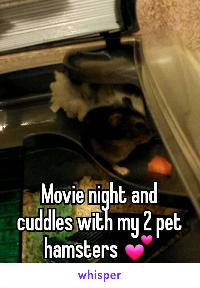 Movie night and cuddles with my 2 pet hamsters 💕