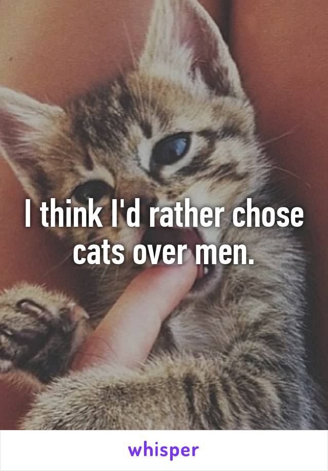 I think I'd rather chose cats over men.