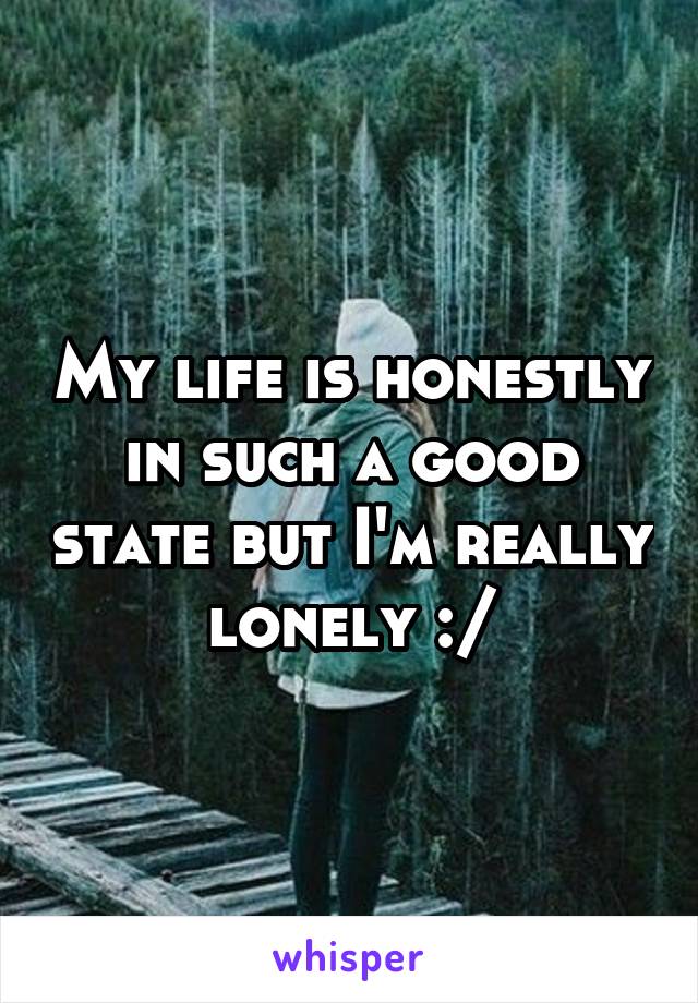 My life is honestly in such a good state but I'm really lonely :/