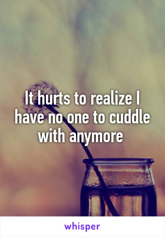 It hurts to realize I have no one to cuddle with anymore 