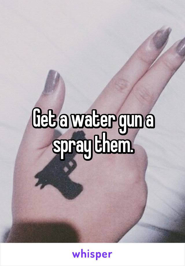 Get a water gun a spray them.