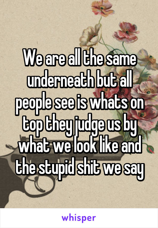 We are all the same underneath but all people see is whats on top they judge us by what we look like and the stupid shit we say