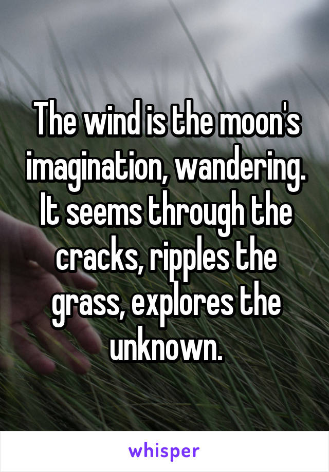 The wind is the moon's imagination, wandering. It seems through the cracks, ripples the grass, explores the unknown.