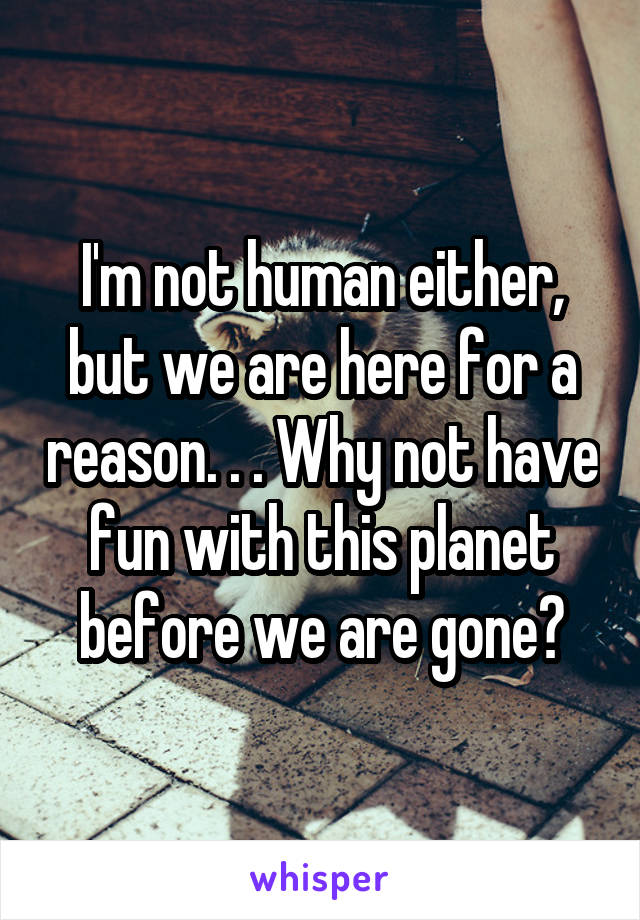 I'm not human either, but we are here for a reason. . . Why not have fun with this planet before we are gone?