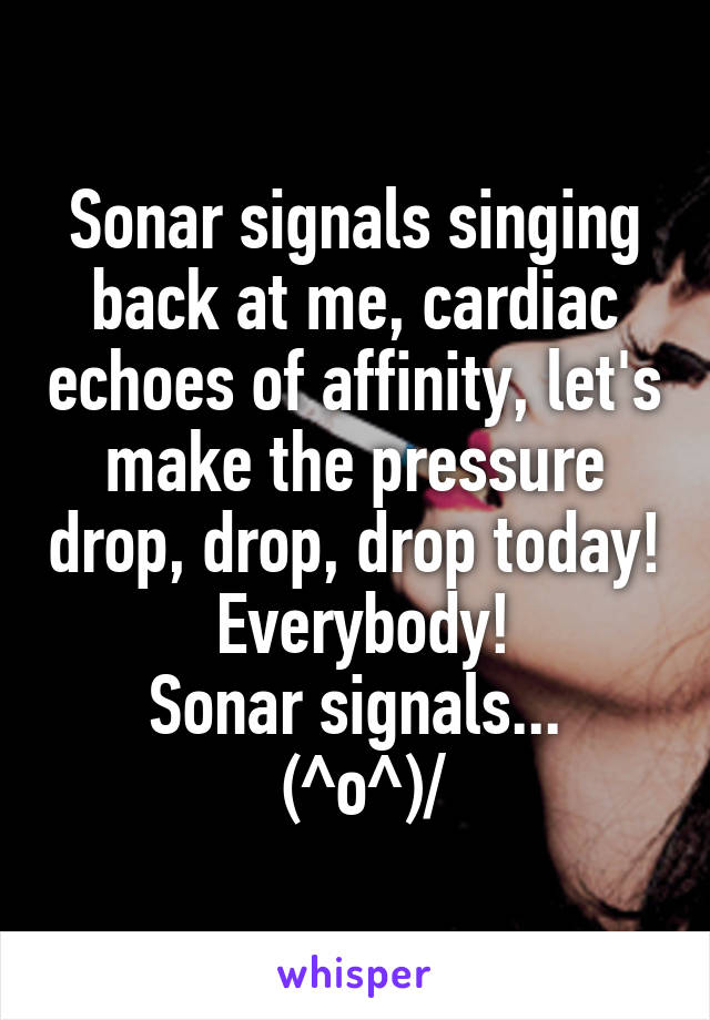 Sonar signals singing back at me, cardiac echoes of affinity, let's make the pressure drop, drop, drop today!
 Everybody!
Sonar signals...
 \(^o^)/