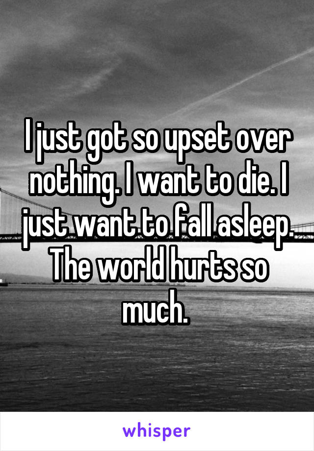 I just got so upset over nothing. I want to die. I just want to fall asleep. The world hurts so much. 