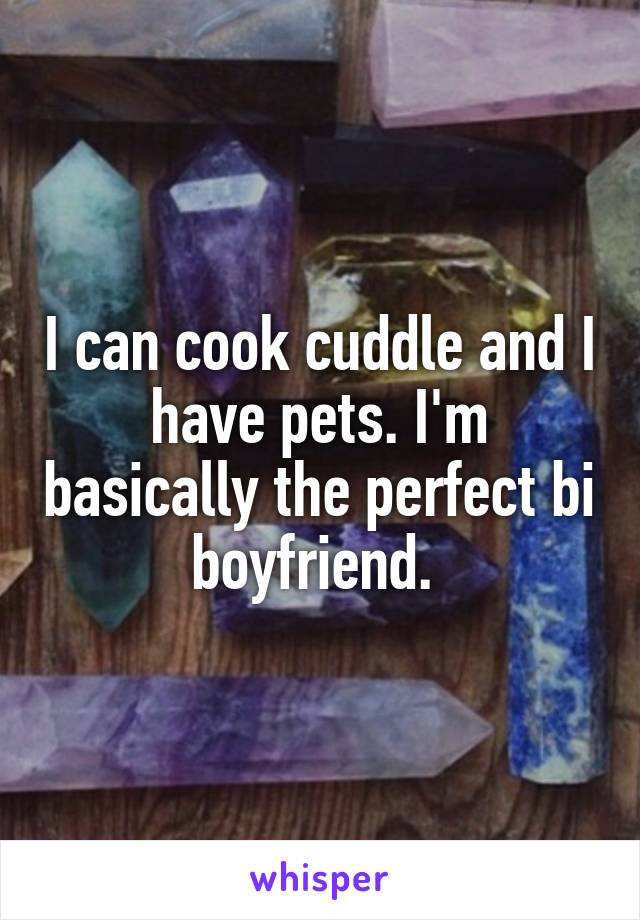 I can cook cuddle and I have pets. I'm basically the perfect bi boyfriend. 