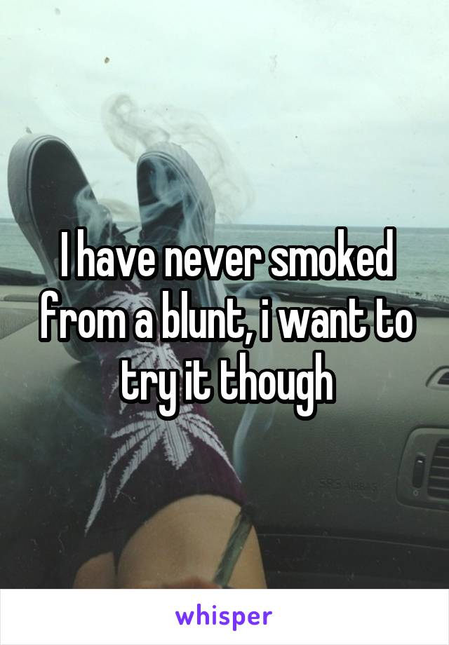 I have never smoked from a blunt, i want to try it though