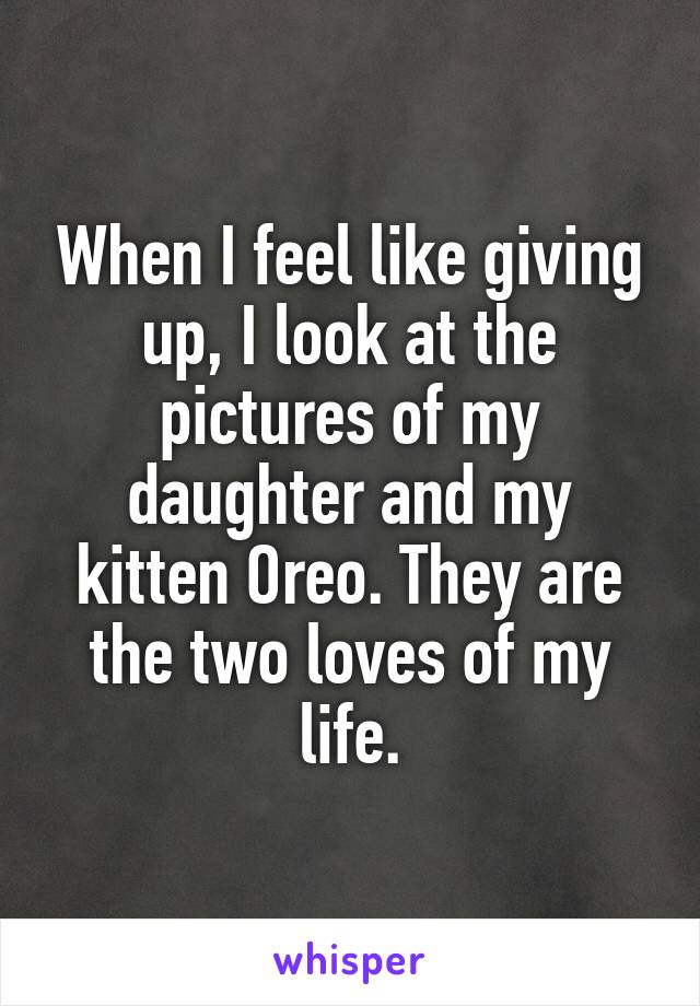 When I feel like giving up, I look at the pictures of my daughter and my kitten Oreo. They are the two loves of my life.