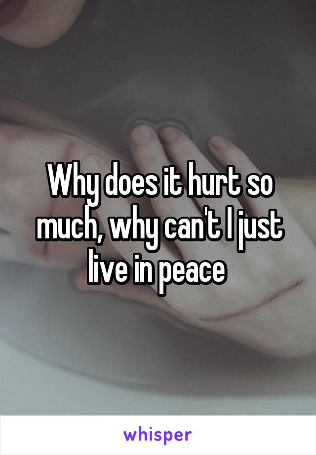 Why does it hurt so much, why can't I just live in peace 