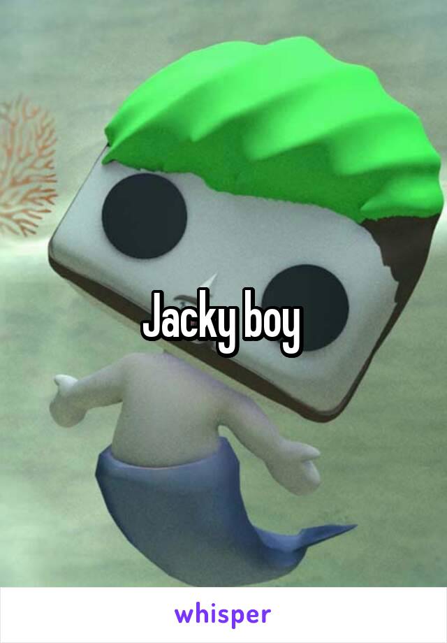 Jacky boy 