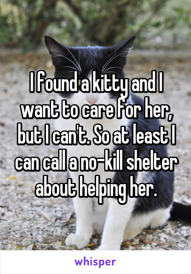 I found a kitty and I want to care for her, but I can't. So at least I can call a no-kill shelter about helping her.