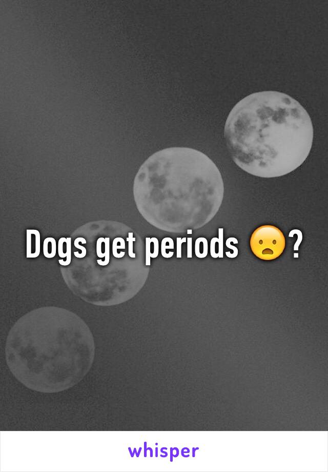 Dogs get periods 😦?