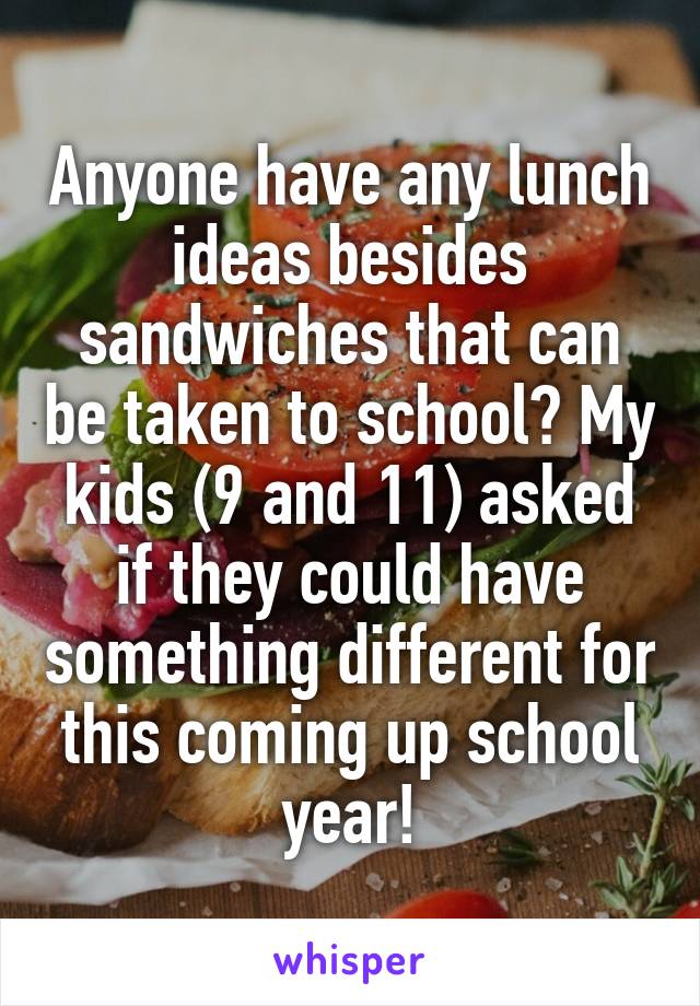 Anyone have any lunch ideas besides sandwiches that can be taken to school? My kids (9 and 11) asked if they could have something different for this coming up school year!