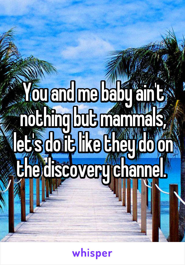 You and me baby ain't nothing but mammals, let's do it like they do on the discovery channel. 